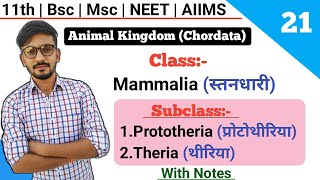 Subclass Prototheria  Theria  Classification Of Chordates  By Dadhich Sir [upl. by Aiak]