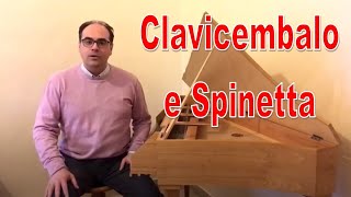 Strumenti Musicali Il Clavicembalo Storia  Comè fatto  come si suona [upl. by Innig141]