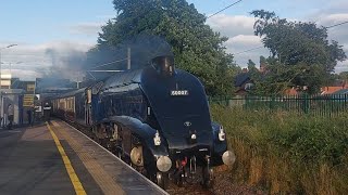 60007 Sir Nigel Gresley The Fellsman Wednesday 3rd July 2024 [upl. by Moyers]