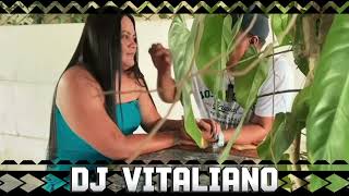 DJ VITALIANO X Saehoney amp Feagai  Talana’i maia lou sa REMIX 2024 [upl. by Mayda]