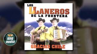 Los llaneros de la frontera megamix [upl. by Mundford]