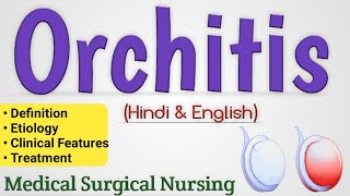 Orchitis  Orchitis In Hindi Medical Surgical Nursing [upl. by Sabas]