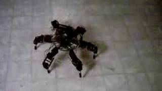 Hexapod walking robot [upl. by Brittney703]