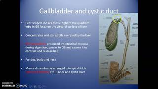 GROSS ANATOMY OF THE GALL BLADDER AND BILIARY SYSTEM Anatomy Book Club [upl. by Kizzee]