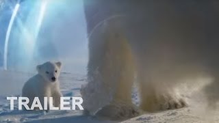 Die Eisbären  Aug In Aug Mit Den Eisbären  Doku  Trailer deutsch [upl. by Roti447]