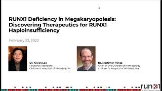 RUNX1 Deficiency in Megakaryopoiesis Discovering Therapeutics for RUNX1 Haploinsufficiency [upl. by Nevag]