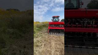 Drill Planting shorts farming [upl. by Yank661]