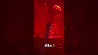 Cobra 🐍 Meg Thee Stallion Detroit fyp concert viral [upl. by Geiss]