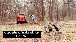 Close Call Removing Underbrush Reveals Venomous Copperhead  Kubota SVL972 and FAE Mulching Head [upl. by Derriey794]