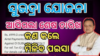 Subhadra Yojana Last Date Apply Odisha 2024  Subhadra Yojana New Update Subhadra Yojana Money 🤑💰 [upl. by Eenehs539]