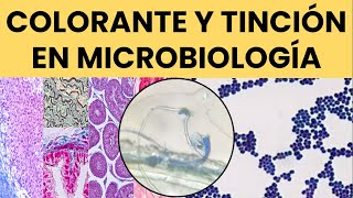 Colorantes en Microbiología Uso y Aplicaciones Prácticas [upl. by Airemat]