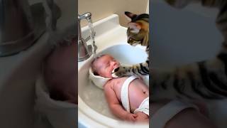 cat 🐈 bathing baby [upl. by Mia]