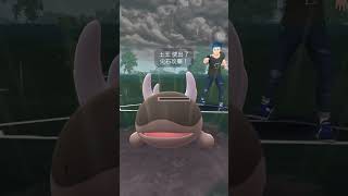 【Pokemon Go】超級聯盟  風妖精『可別因我可愛就小瞧我 』Whimsicott pokemongo gbl [upl. by Ahsekam]