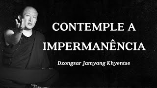 Dzongsar Jamyang Khyentse  Contemple a Impermanência [upl. by Mayap]