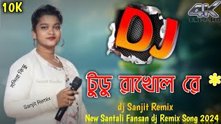 Tudu Bakhol Re  Mandira Kisku  New Santali Fansan dj Remix Song 2024 dj Sanjit Remix [upl. by Simah]