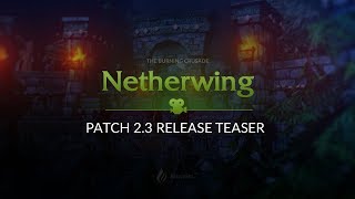 Netherwing Patch 23 Release Teaser [upl. by Rramel]