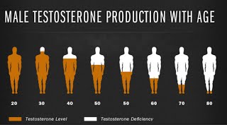 What is testosterone Pharmacology and psyche The main male hormone [upl. by Aisetra]