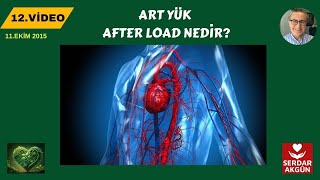 AFTERLOAD NEDİR  ARTYÜK NEDİR  MEDIKAL VİDEOLAR [upl. by Eahsel]