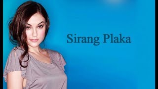 Sirang Plaka  Because FTD Lark Mester Lyrics [upl. by Delora862]