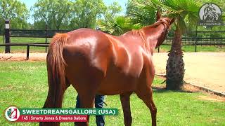 145Y SWEETDREAMSGALLOREUSA 9 Smarty Jones  Dreams Gallore [upl. by Gayelord622]