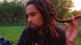 Freeform Dreadlock Update 3 Years 5 Months [upl. by Selwyn907]