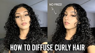 HOW TO DIFFUSE CURLY HAIR  No Frizz amp Quick for Beginners [upl. by Dedie]