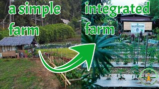 Paano maging successful ang isang farm into Integrated Farm Integrated Farming in the Philippines [upl. by Irehc]