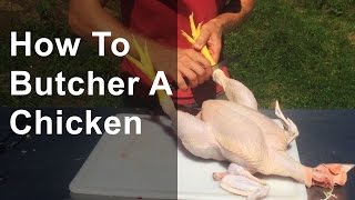 How to Butcher a Chicken Step by Step [upl. by Ruthann]