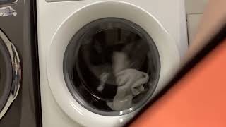 ElectroluxFrigidaire front load washer white washing my blankets [upl. by Levin]