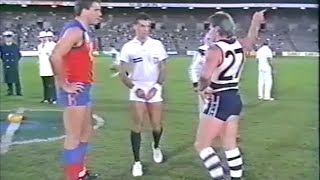 VFL Panasonic Cup 1988 Semi Final Fitzroy v Geelong AFL [upl. by Elehcar]