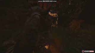 evolve gameplay [upl. by Derwin]