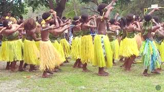 Makira Day 2024  Day 2  Central Makira Cultural Dancers [upl. by Gittle]