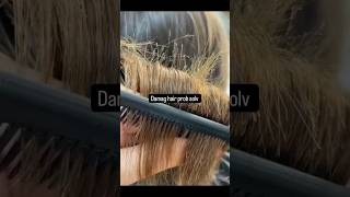 2mohe hair ka ab probsolvshortsfeed Fate hue hair ko kaise thik kareSunita beauty tips hair growth [upl. by Delorenzo]