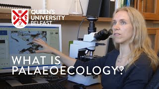 An Introduction to Palaeoecology by Dr Gill Plunkett [upl. by Dido]