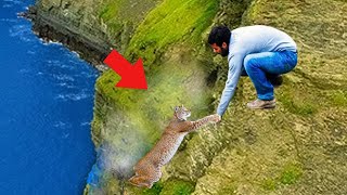 Man Saved Lynx On A Cliff What the Lynx Does Next Will Leave You Astonished [upl. by Lole]