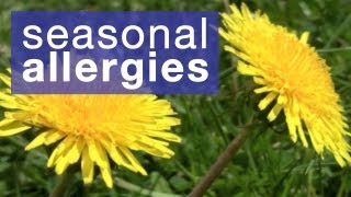 How to reduce seasonal allergies [upl. by Notsirhc]