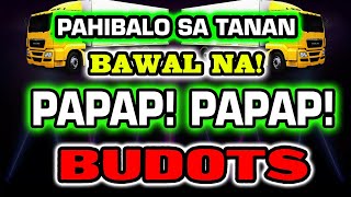 BAWAL NA PAPAP PAPAP BUDOTS DISCO REMIX [upl. by Onaicnop]