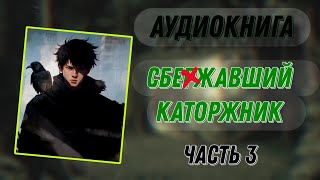 АУДИОКНИГА  СБЕЖАВШИЙ КАТОРЖНИК  ФЭНТЕЗИ  ЧАСТЬ 3 [upl. by Nyrroc90]