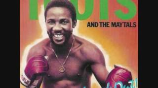 Toots amp The Maytals  Will You Be Kind [upl. by Gregrory245]