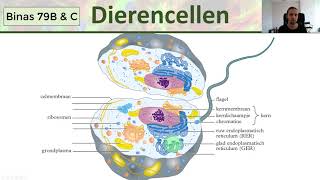 Cellen  Plant en dier  Binas 79B amp C  Inleiding biologie 1 [upl. by Acacia]