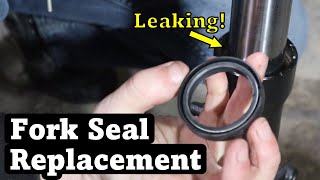 Replace Your Fork Seals  Suzuki DL650 VStromNonInverted Fork Repair [upl. by Beasley]