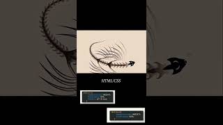 html csshtml5coding software pythonfold unfold animation loding EFFECT animationweb design [upl. by Enitsud144]