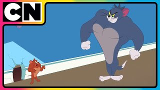 Tom amp Jerry 😺🐭 Just Cat amp Mouse Things  tomandjerry  Funny Cartoons  cnindia [upl. by Garcon]