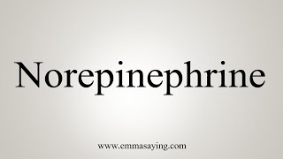 How To Say Norepinephrine [upl. by Behm]