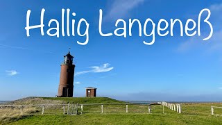 Hallig Langeneß 😀 Fähre 🥹 Hallig Hooge 😄 Schlüttsiel [upl. by Kelwen]