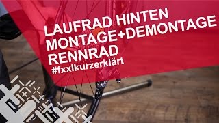 Rennrad Hinterrad ausbauen amp einbauen  fxxlkurzerklärt [upl. by Bartie]