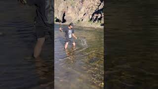 First Fish of the Day fishing troutfishing nature flyfisherman trout sport [upl. by Manvil]