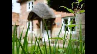 Yew Tree Cottage Potterne [upl. by Yevol]