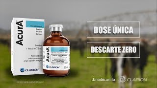 ACURA o tratamento definitivo das infecções das vacas em lactação com dose única e descarte zero [upl. by Maretz]