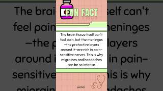 🤕 Where Brain Pain Begins—Do You Know the Spot mededtrivia brainteasers brainfacts smarttrivia [upl. by Wesle]